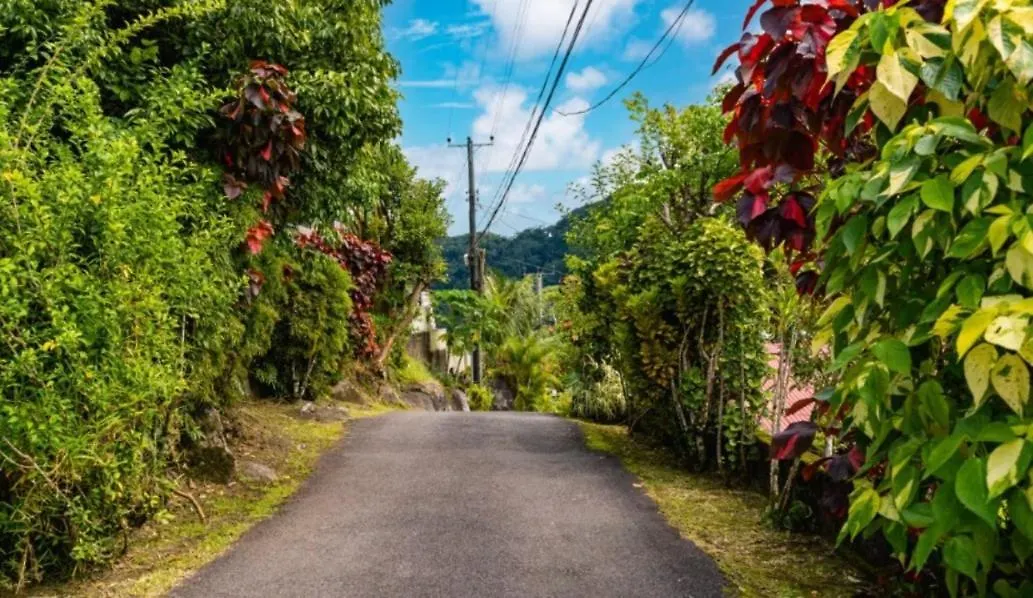 Paradise Breeze Apartment Misere